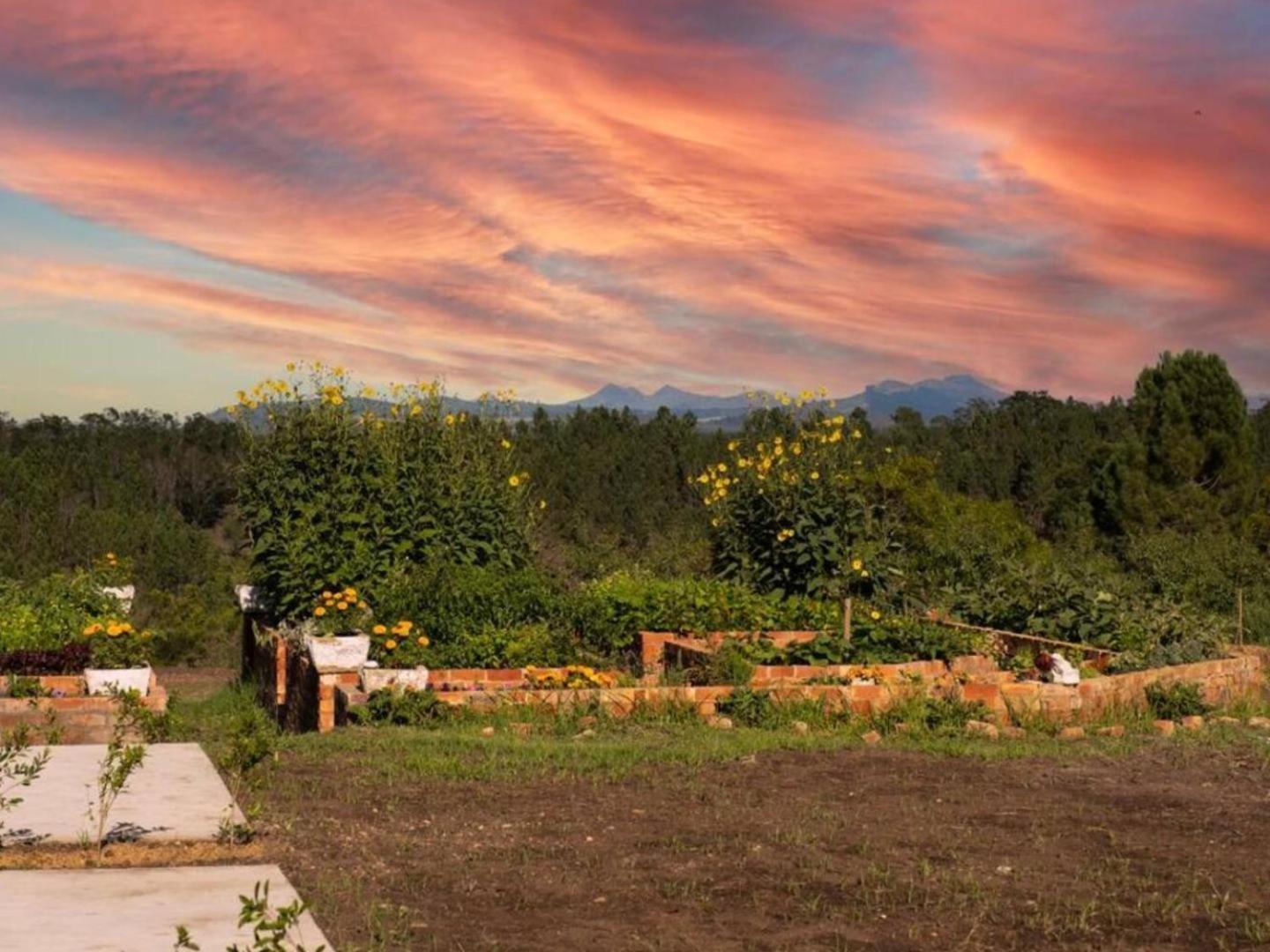 20 Good Summers Farm Stay The Crags Exterior foto